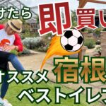 【見つけたら即買い！】夏のオススメ宿根草ベストイレブン!!ローメンテ＆ほったらかしOKで初心者さんにも優しい♪