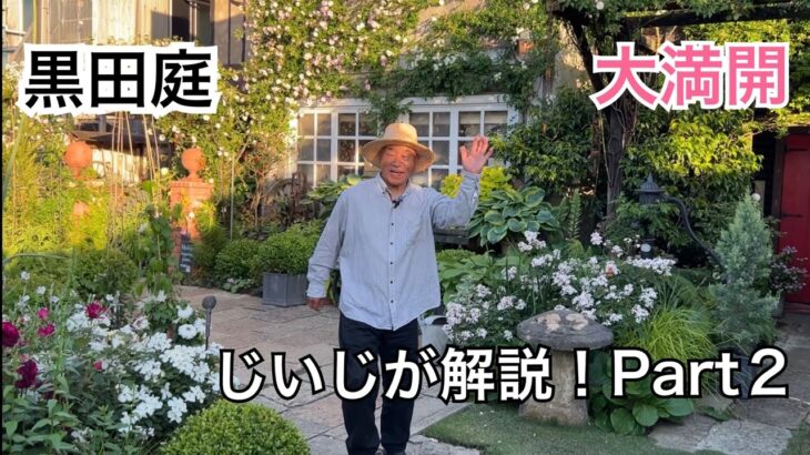 大満開！Part2 じいじが黒田庭を解説 2026 Kuroda’s Residenc