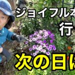 ガーデニングがやりたくてなって仕方ないだわ　【園芸超人カーメン君】