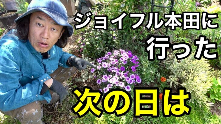 ガーデニングがやりたくてなって仕方ないだわ　【園芸超人カーメン君】