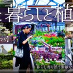 まるで海外の庭！植物好きが癒される秘密のガーデンショップ