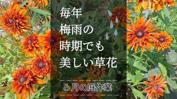 ガーデニング｜暑さに負けない花を集めました｜梅雨時期のガーデン管理