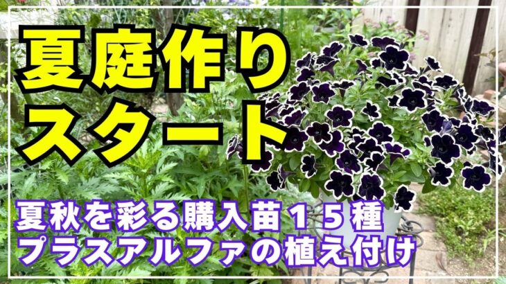 【夏ならではの楽しみ】暑さに強い１５選＋挿し芽組たちのご紹介と植え付けを行います。