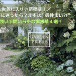 【ガーデニング】植える場所に迷ったら？まずは『鉢植え』＆夏に強い手間いらずな宿根草4選！|ガーデニング|鉢植えのメリット