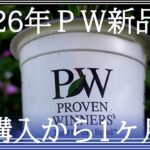 ＰＷの今年の新品種4品種｜ネット購入苗12品種の1ヶ月後の成長｜ガーデニング
