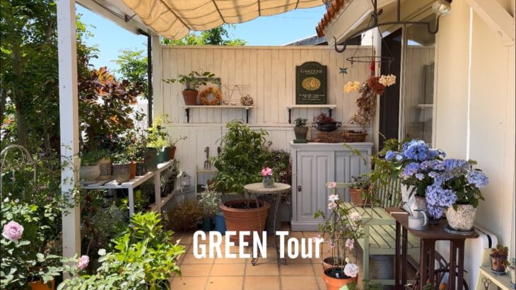 【個人邸】 GARDENSさん作庭×最新作の草花苗でつくるお庭はこの春のトレンド全部詰まったセンスと植物愛溢れるお洒落で素敵なお庭！| M様邸 | 園芸/ガーデニング店巡り | 香川/高松