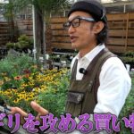 【園芸店泣かせ】こんな事まで言っちゃう【カーメン君】【園芸】【ガーデニング】