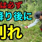 たったこれだけで厄介な雑草が生えなくなります　【園芸超人カーメン君】【草刈り】【高刈り】