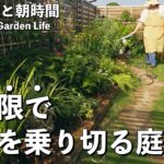 【ガーデニング】最小限の手入れでいいじゃん。夏庭を管理する方法を編み出しました｜小さな庭｜有機栽培