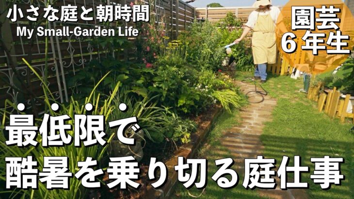 【ガーデニング】最小限の手入れでいいじゃん。夏庭を管理する方法を編み出しました｜小さな庭｜有機栽培