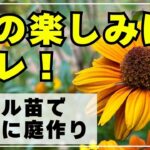 【超お得に庭作り！】今がチャンス！セール品を見つけて安く華やかに庭作りをしよう！＊熱中症には気を付けてね。