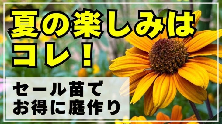 【超お得に庭作り！】今がチャンス！セール品を見つけて安く華やかに庭作りをしよう！＊熱中症には気を付けてね。