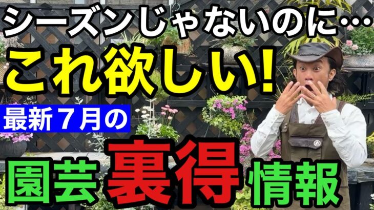 【最新入荷情報】みたら欲しくなるので要注意して下さい！！！　　　　　　　　　【園芸超人カーメン君】