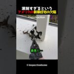 深刻すぎるというアメリカの新築住宅の欠陥