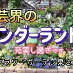 品種も数もハンパない‼︎ここに来れば欲しいものが見つかる！楽しすぎる大型園芸店・フラワーガーデン泉さんに行ってきました