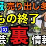 【ピンポイント】8月はセールが多いので実はお得に買えます【園芸超人カーメン君】