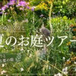 【8月の庭】猛暑でも元気な植物、弱った植物｜真夏の日向ガーデンツアー｜2026/8/9