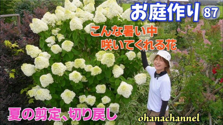【庭作り 87】 こんな暑い中咲いてくれてる花は！夏の剪定