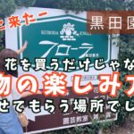 【黒田園芸】プロのお庭にお邪魔したような園芸店😍DIY,花壇,寄せ植えが素敵すぎた❤️‍🔥