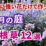 【ガーデニング】ほったらかしOK！猛暑でも満開の宿根草12選！暑さに強い花だけで作った８月の庭！gardening