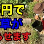 【目からウロコ】〇〇をかけるだけで雑草を簡単に枯らせます　【園芸超人カーメン君】