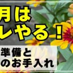 【花一杯の秋を迎える準備＆果樹のお手入れ】種まき・切り戻し・挿し芽の鉢上げ・ブルーベリーやラズベリーのお手入れ・植え付け等