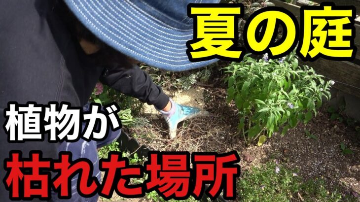 今そのままにしておいてはいけません　【園芸超人カーメン君】