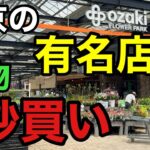 【夏の散財】またしてもとんでもない店に来てしまった。。。【園芸超人カーメン君】【オザキフラワーパーク】