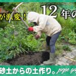 【12年越しの挑戦】ガーデニング不適格な真砂土を劇的改善！南庭の一等地大改造計画