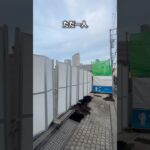 12億円かけて建設されたのにほとんど使用されなかった豪邸 #shorts #珍スポット