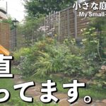 【出遅れました】1ヶ月庭に出られず、9月末…ようやく秋庭づくりが始まりました！｜小さな庭のガーデニング