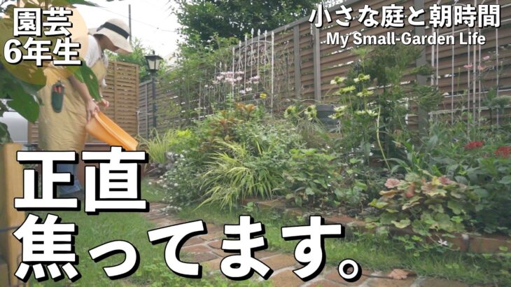 【出遅れました】1ヶ月庭に出られず、9月末…ようやく秋庭づくりが始まりました！｜小さな庭のガーデニング