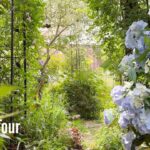 【個人邸】クレマチスに紫陽花の日影庭がしっとり色っぽい雑木と薔薇と宿根草のお庭は2年目とは思えない花盛り！| M様邸 | 園芸/ガーデニング店巡り | 岡山/倉敷