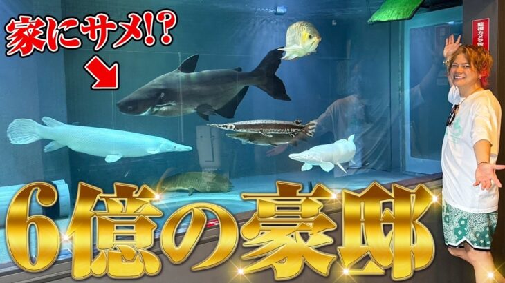 【6億円豪邸】水族館!?サメと大型魚が泳ぐ規格外の家に潜入！！