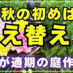 夏越ししたガーデンシクラメンやマーガレットなど7種類の花々の植え替え植え付けをまとめた動画です。