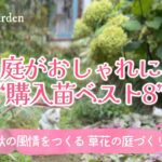 【ガーデニング🌿秋の庭がおしゃれになる購入苗ベスト8】風に揺れる草花と季節の重なりを楽しむ庭づくり｜おすすめ秋の花・ナチュラルガーデン