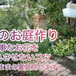 【ガーデニングVlog】再び花苗お迎えして失敗からリベンジ／枯れたお花の原因わかりました／散らかりすぎた裏庭見せます