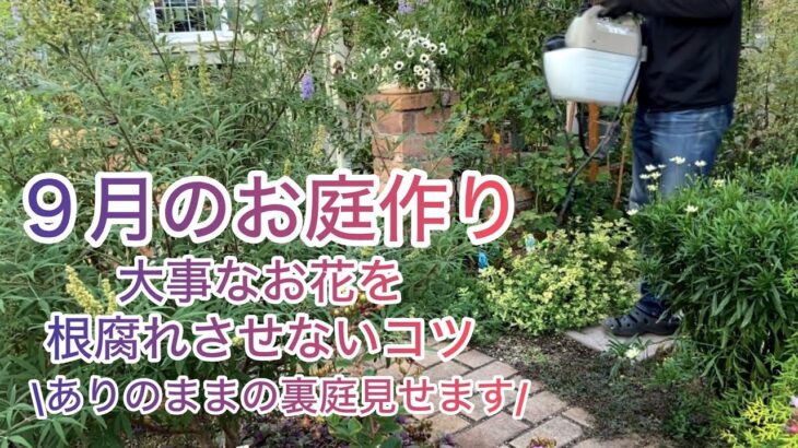 【ガーデニングVlog】再び花苗お迎えして失敗からリベンジ／枯れたお花の原因わかりました／散らかりすぎた裏庭見せます