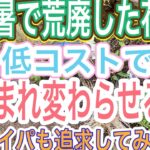 【ガーデニング】【荒れた花壇】夏が過ぎて、花壇が瀕死💦キレイにしたいけど予算がなくて💧工夫して低コスト&時短で美花壇を目指せ‼️seriaさんで便利グッズ見つけたよ！秋の爆買い目前👍