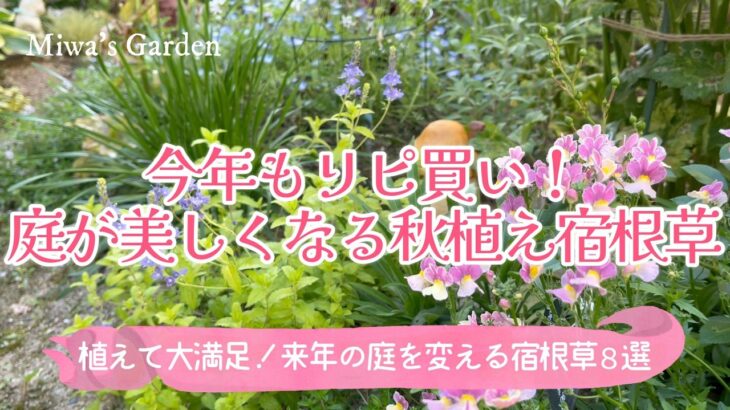ガーデニング🌿今年もリピ買い！来年の庭がもっと美しくなる秋植え宿根草８選｜おしゃれな庭づくり