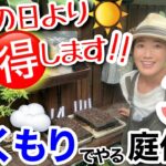 【雨・曇りの日こそチャンス！】晴れの日より成功率が上がるガーデニング👩‍🌾/ 雨続きの天候を活用しよう‼️早くも冬越しの準備、来春の花満開の準備が楽々とできます✨【ガーデニング】