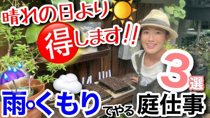 【雨・曇りの日こそチャンス！】晴れの日より成功率が上がるガーデニング👩‍🌾/ 雨続きの天候を活用しよう‼️早くも冬越しの準備、来春の花満開の準備が楽々とできます✨【ガーデニング】