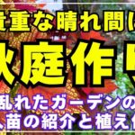 雨で乱れたガーデンを整えながら新しく購入した秋苗のご紹介と植え付けを行います。最後にプチガーデンツアーも。