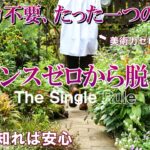 【センス零から脱却】芸術力無しでも変わる、たった一つの法則｜ガーデニング初心者が知るべき基本