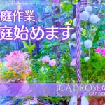 【ガーデニング】　  秋の庭を始める・小さな籠の寄せ植え・四季の庭づくりは秋から始まる・９月の庭仕事