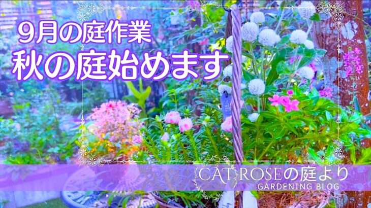 【ガーデニング】　  秋の庭を始める・小さな籠の寄せ植え・四季の庭づくりは秋から始まる・９月の庭仕事