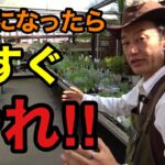 【10月の園芸作業】今すぐやること・まだ待つことを全て教えます　　　　【園芸超人カーメン君】【ガーデニング】【初心者】