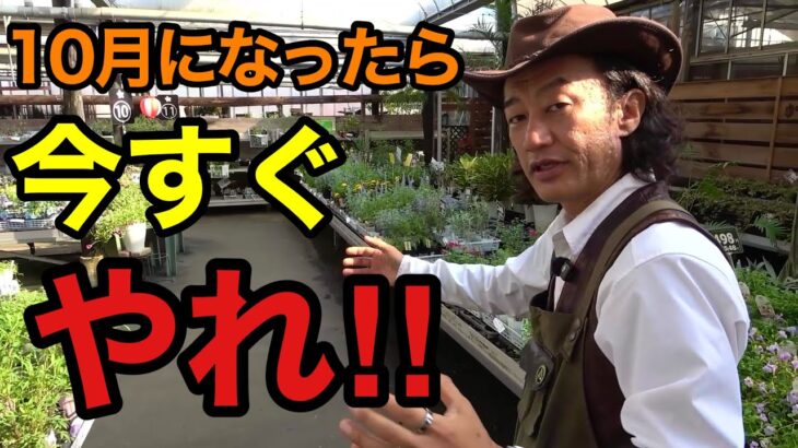 【10月の園芸作業】今すぐやること・まだ待つことを全て教えます　　　　【園芸超人カーメン君】【ガーデニング】【初心者】