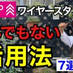 今すぐ100均ダイソーでワイヤースタンド買っとけ！！【園芸超人カーメン君】【ガーデニング】【DAISO】