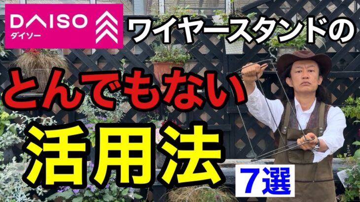 今すぐ100均ダイソーでワイヤースタンド買っとけ！！【園芸超人カーメン君】【ガーデニング】【DAISO】